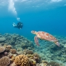 Makassar Coastal Road Trip