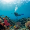 Natural Skincare Secrets from Bali